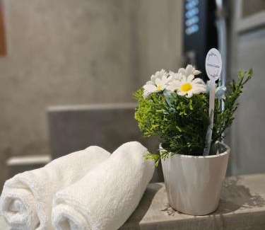 Habaraduwa Maison | The Blacksmith Villa