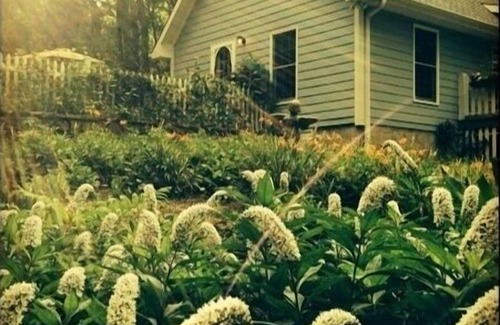 Trenton Cottage | The Blue Cottage Rental - l'escapade parfaite en montagne
