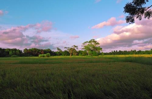 Nochchiyagama Station Balnéaire | The Blue Sapphire Of Wilpattu