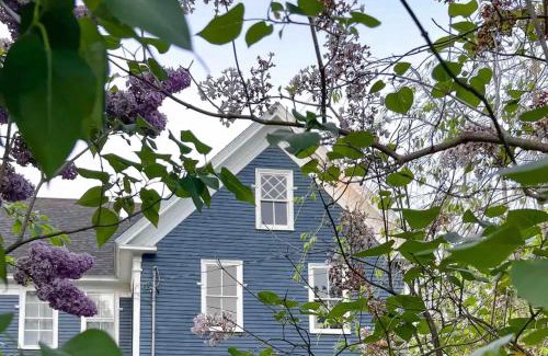 Sebago Maison | The Blueberry House - Spacious, Family & Pet-Friendly Retreat near Sebago Lake
