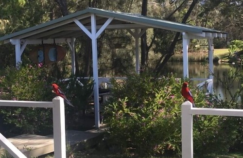 Lake Conjola Maison | La promenade - cadre paisible au bord de l'eau