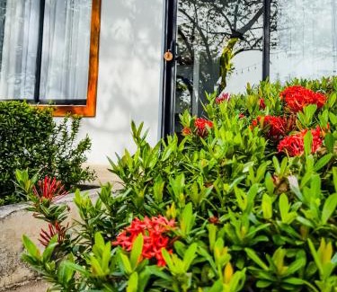 Marbella Hôtel | The Bohemian Lagarto