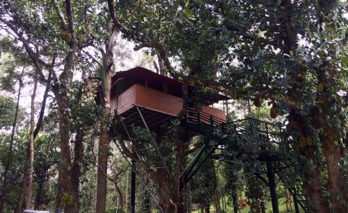 Yercaud Station Balnéaire | The Brook Resorts & Spa