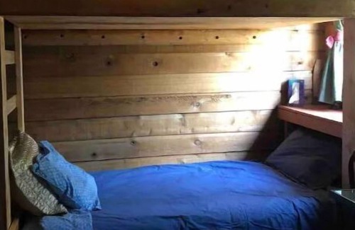 Beaverdell Cabine | The Bunk House