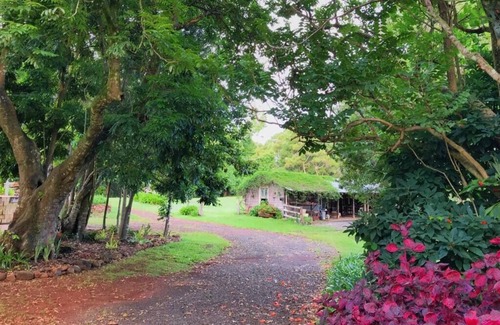 Rosebank Maison | The Bunkhouse- Byron Hinterland retreat