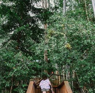 Salisbury Maison | The Cabin Barrington Tops Your Eco Place in Nature