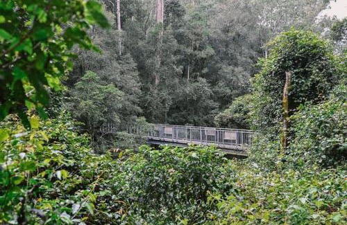 Salisbury Maison | The Cabin Barrington Tops Your Eco Place in Nature