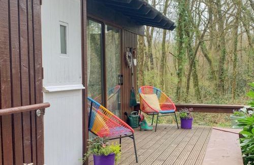 Cenarth Maison | The Cabin