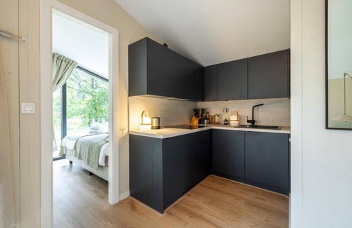 Wilsum Cabine | The Cabin on the Hill is situated among the birch trees on a hill with unobstructed views on all sides.