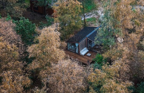 Wilsum Cabine | The Cabin on the Hill is situated among the birch trees on a hill with unobstructed views on all sides.