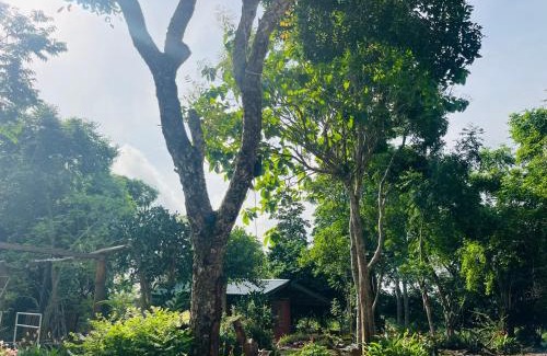 Nungua Cabine | The Cave Suite