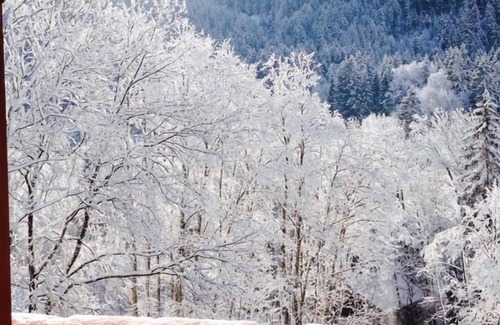 Abondance Chalet De Ski | The Chalet, Spacious 12 person chalet, Portes du Soleil, 5 minutes from the ski slopes, 15 minutes