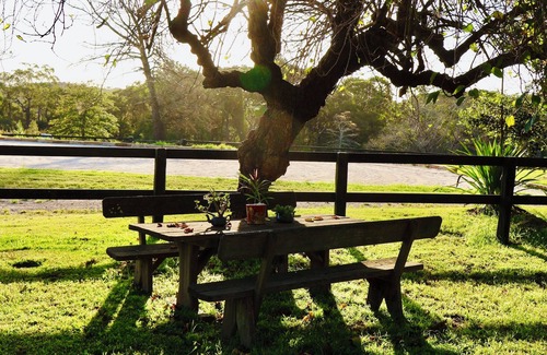 Somersby Cabine | The Charming Studio Escape to Somersby – A Peaceful, Pet-Friendly Retreat