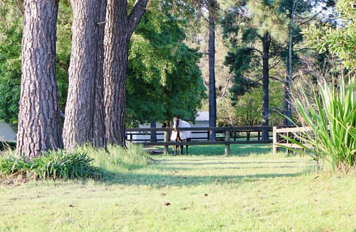 Somersby Cabine | The Charming Studio Escape to Somersby – A Peaceful, Pet-Friendly Retreat