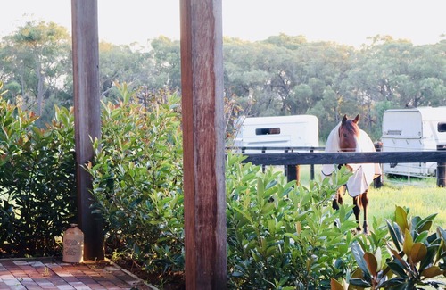 Somersby Cabine | The Charming Studio Escape to Somersby – A Peaceful, Pet-Friendly Retreat
