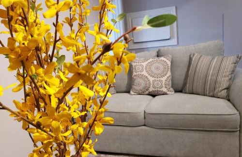 Silver Lake Appartement | The City-Side at Silver Lake *NEW 1-BED RM APT
