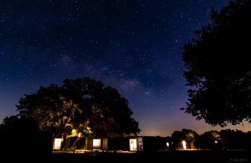 Johnson City Maison | The Container Retreat @ 290 Wine Trail #6 Enjoy nature!