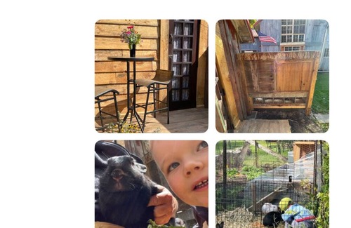 Trumansburg Cabine | The Coop at CrowNestFarm! Dog Welcome! Communal Rec Room-Bathroom-Kitchenette