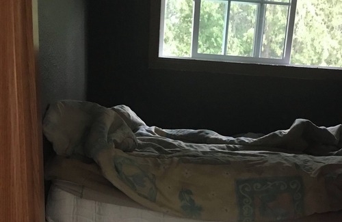 Huron-Kinloss Maison | The Cottage is pet friendly