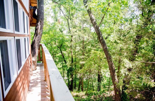 Hermann Lit Et Petit-Déjeuner | The Cottage Treehouses