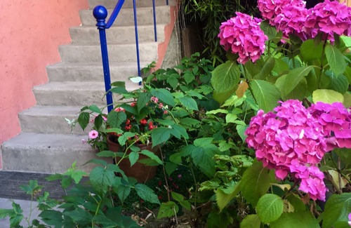 Quartier Victor Hugo Maison | La campagne à la ville aux portes de Paris, vous apprécierez notre petit jardin.