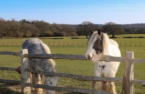 Sedlescombe Maison | The Cowshed