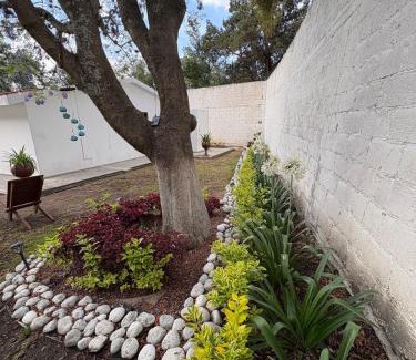 Yauhquemehcan Appartement | The cozy corner