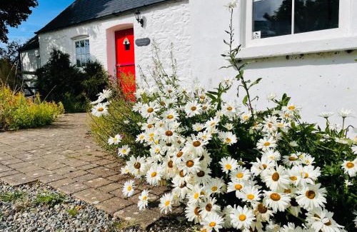 Goodwick Maison | The Dairy @ Trefechan Wen