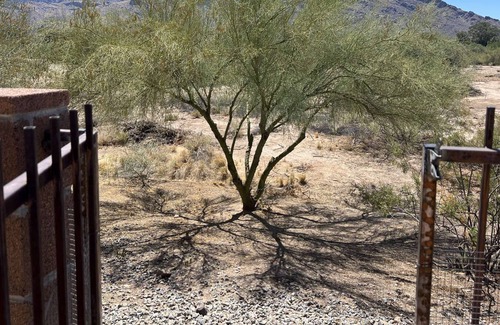 Oro Valley Maison | Family and large group friendly !