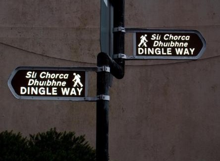 Dingle Maison | The Dingle Pub Rooms