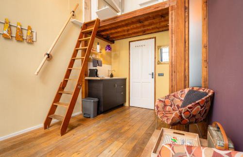 Zwolle City Centre Appartement | The Disco Duck A - city centre Zwolle
