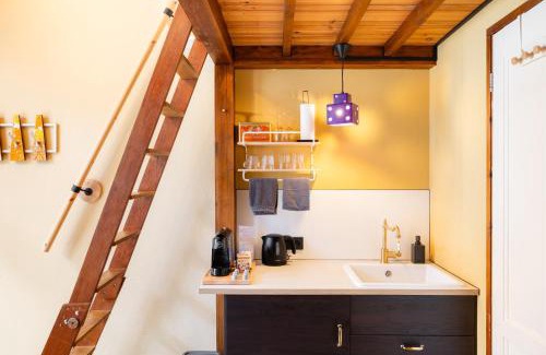 Zwolle City Centre Appartement | The Disco Duck A - city centre Zwolle