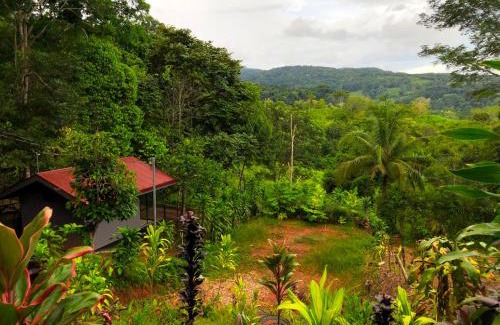 Platanillo Appartement | The Elements Costa Rica Nature Lodges