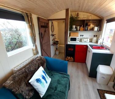 Curraghboy Autre | The Feathers Shepherds Hut