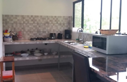 Matapalo Appartement | LE TERRAIN MATAPALO.
