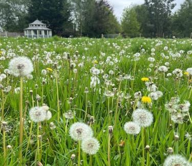 Stratton Strawless Appartement | The Folly - one off luxury Glamping accommodation