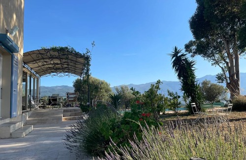Oletta Villa | THE Fool ON THE Hill