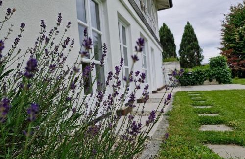 Puchegg Appartement | The Garden Studio