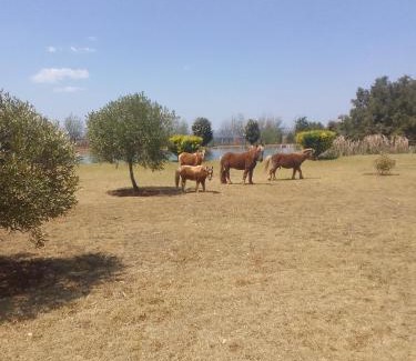 Magaliesberg Maison | The Gaia House Magaliesburg
