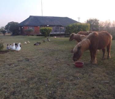 Magaliesberg Maison | The Gaia House Magaliesburg