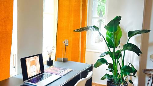 Steinhausen Appartement | The Gallery
