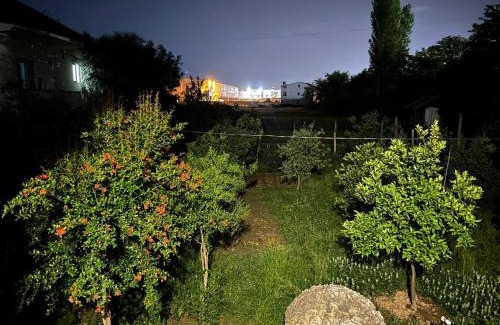 Tirana Maison | The Garden