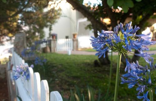 Pitharion Appartement | The Garden of Zephyrus - West