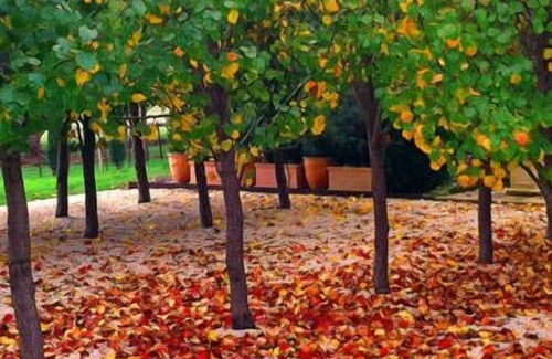 Yering Appartement | Le Gatehouse de la Villa Raedward