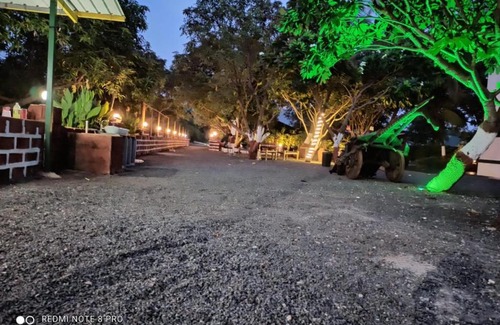 Talala Maison | The Gir Lion