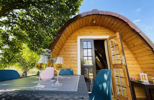 Pedrogao Cabine | The Gold Pod, détendez-vous et profitez d'une maison Glamping