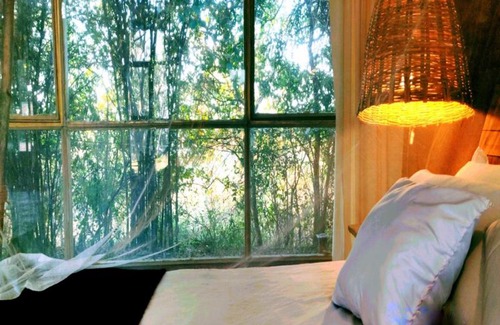 Vikarabad Station Balnéaire | The Grass Walk Jungle Lodge