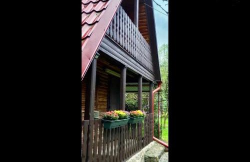 Recea Maison | The Great Escape