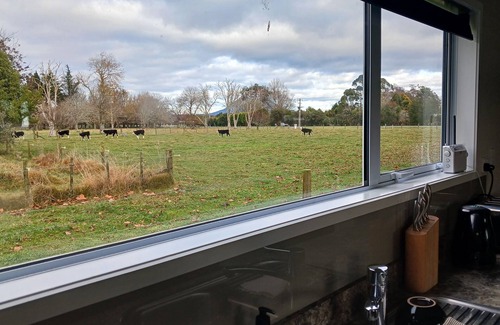 Te Teko Cottage | THE GUEST HOUSE- Awakeri area. Boutique accommodation -affordable price.