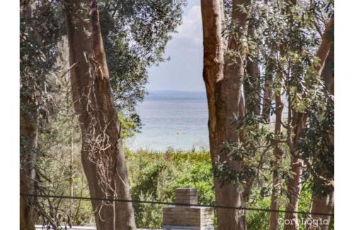 Silverleaves Maison | The Hamptons